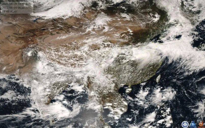 Artis Brno vs布尔_第11号台风“杨柳”突然北抬Artis Brno vs布尔!明天闵行或将下开水……