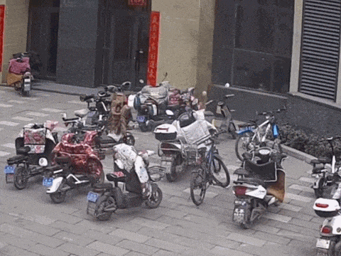 皇冠信用盘账号
_上海街头一女子突然倒地皇冠信用盘账号
，满脸是血！很多人用过，已致多起意外！赶快赶快