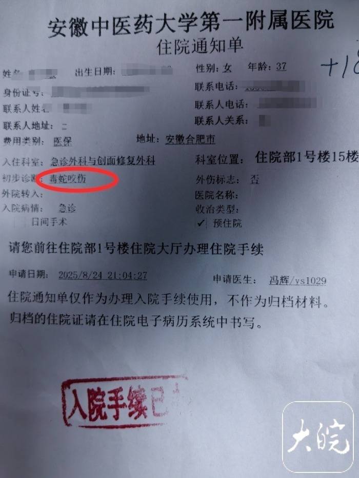 意大利甲组联赛_合肥一市民夜爬大蜀山被毒蛇咬伤 公园管理处呼吁:尽量避免夜间登山