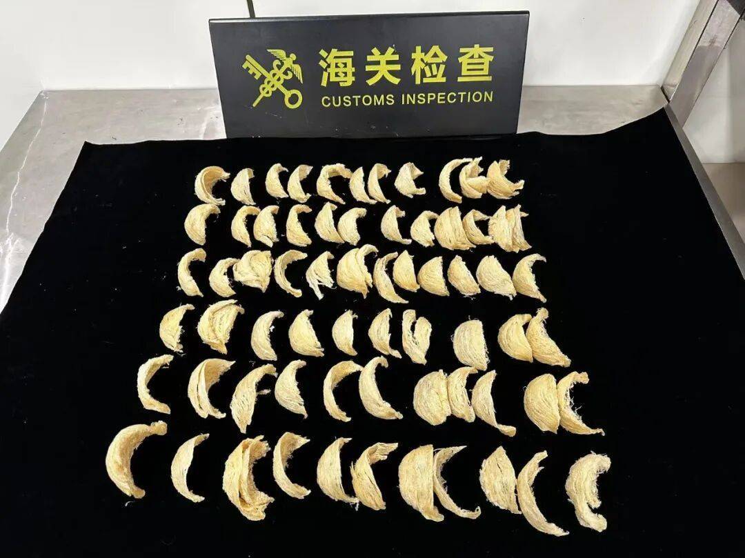 皇冠信用网怎么申请_太恶心!女子被查皇冠信用网怎么申请,在打底裤内搜到了用塑料袋包裹的大量食品……