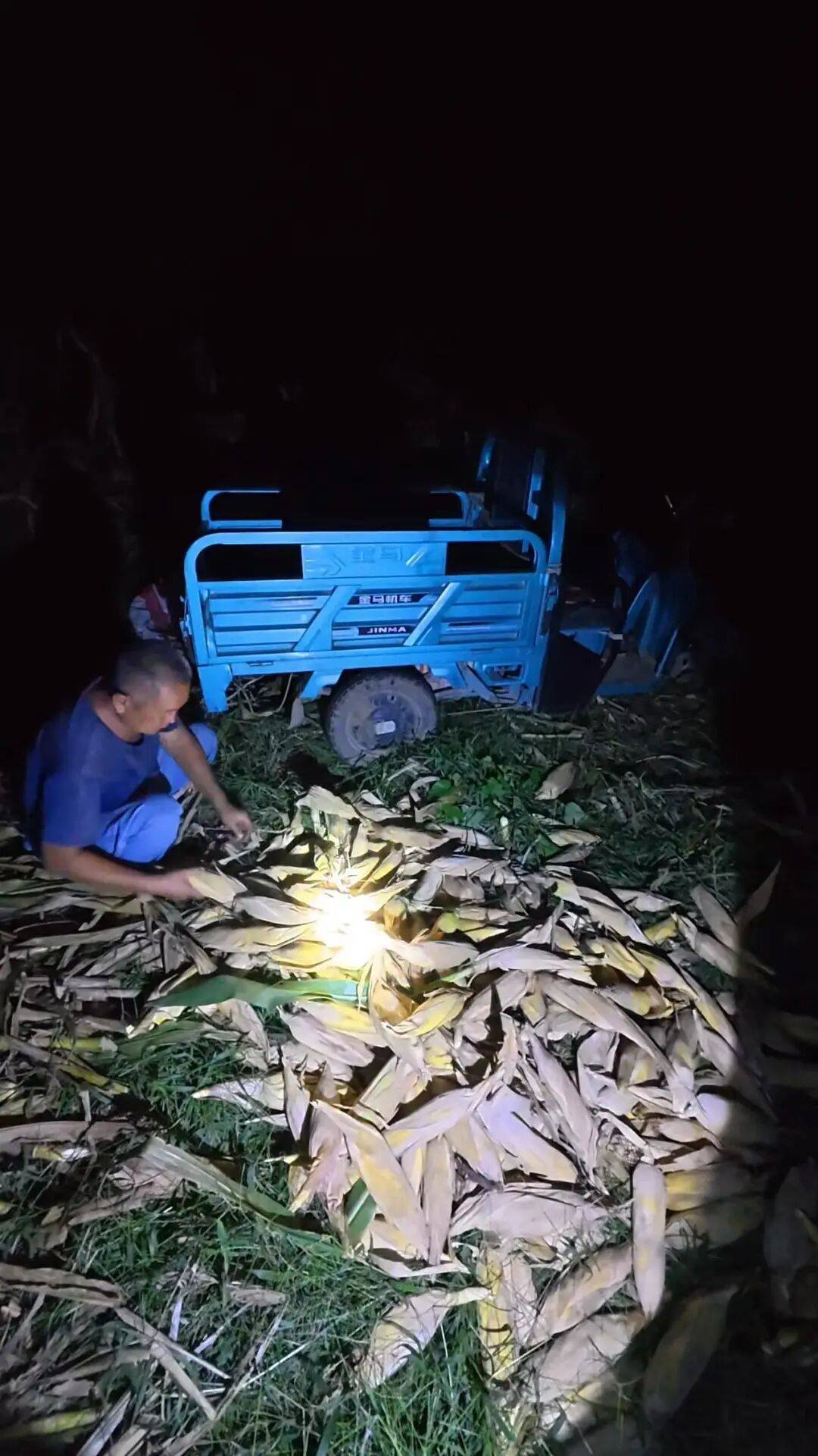 皇冠信用网登1_山东一大学生国庆8天假掰了7天半玉米皇冠信用网登1,本人称“自己多弯一次腰父母就少吃一点苦”