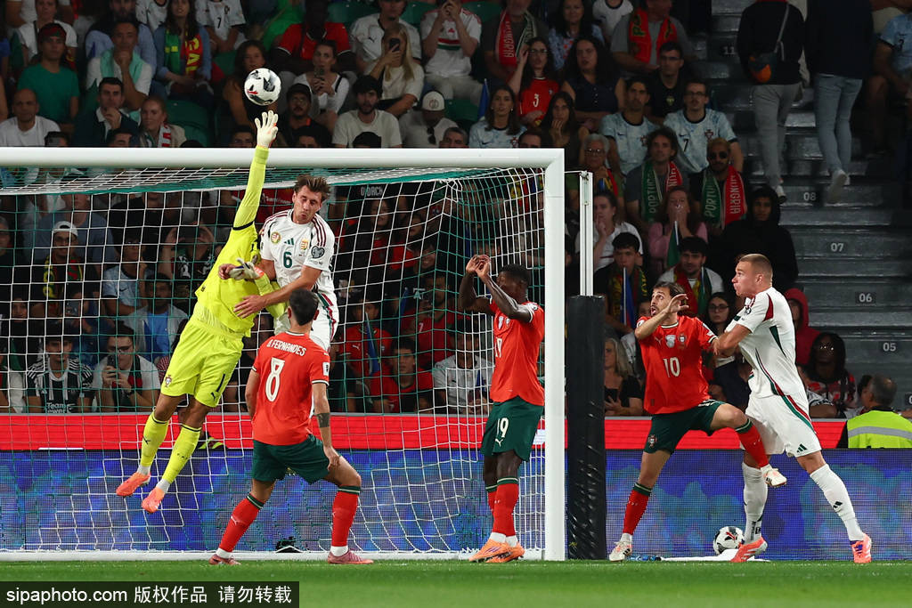 皇冠信用盘注册开户
_世预赛-C罗双响独享射手王索博绝平 葡萄牙2-2匈牙利