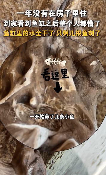 皇冠信用網代理
_哈尔滨女子离家一年回家发现“活鱼变鱼刺”