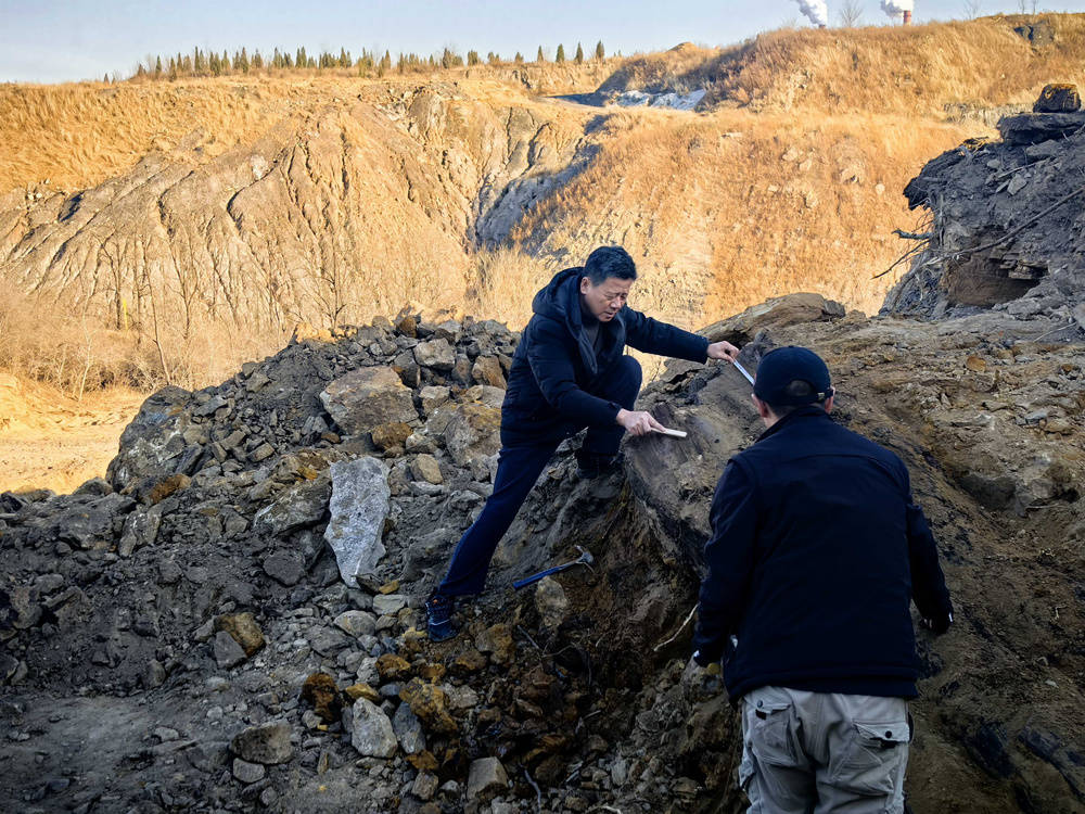南非足球世界杯
_山西省阳泉市太旧高速路改线工程现场发现国家一级重点保护木化石