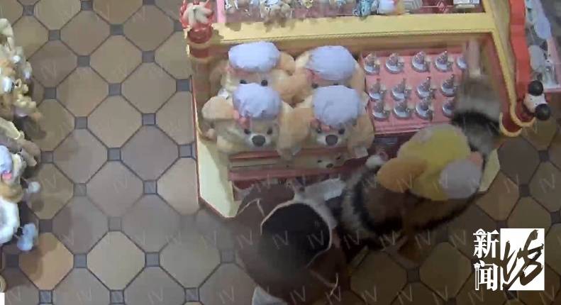 皇冠信用网最新地址_太猖狂！事发上海迪士尼皇冠信用网最新地址，28人全部被抓！