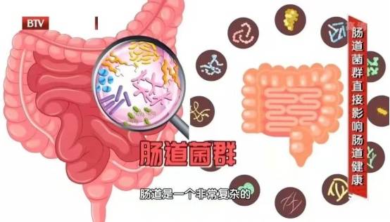 德国足球
_比白糖还可怕的“隐形糖”!伤肝、长胖、升尿酸德国足球
,你常吃的食物中就有……