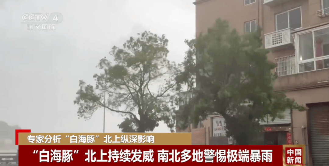 体育皇冠信用网_台风“白海豚”突然大拐弯体育皇冠信用网，走出罕见路线！厦门未来天气……