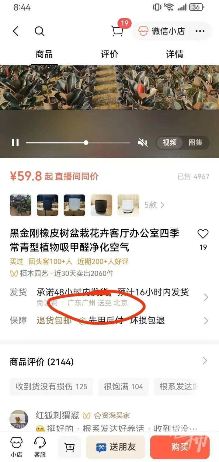 亚洲杯足球比分_女子59.8元买的盆栽18天爬出4条蛇亚洲杯足球比分,扒开泥土还有蛇蛋