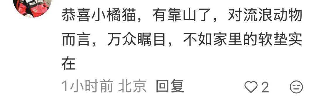 皇冠信用网开号_降温前被“收编”皇冠信用网开号,天安门陪武警站岗执勤的小橘猫或将正式入编“宫猫”,故宫博物院工作人员:正在医院检查,后续会优先找领养