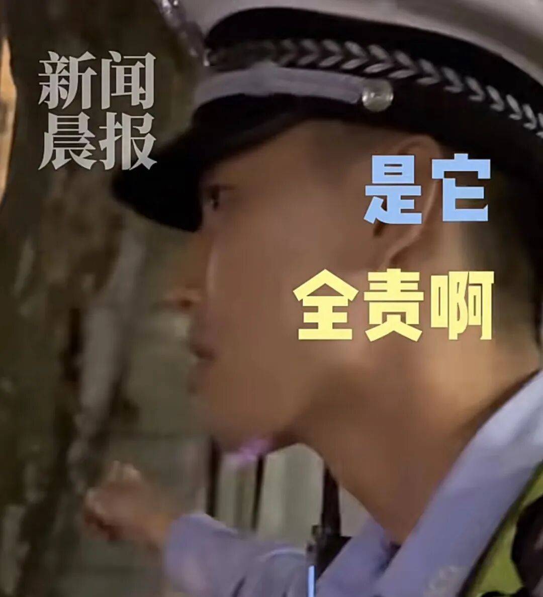 世界杯代理
_“树全责世界杯代理
!”上海一司机撞树喊冤:这棵树长太歪!交警一句话点醒众人