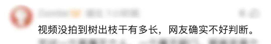 世界杯代理
_“树全责世界杯代理
!”上海一司机撞树喊冤:这棵树长太歪!交警一句话点醒众人